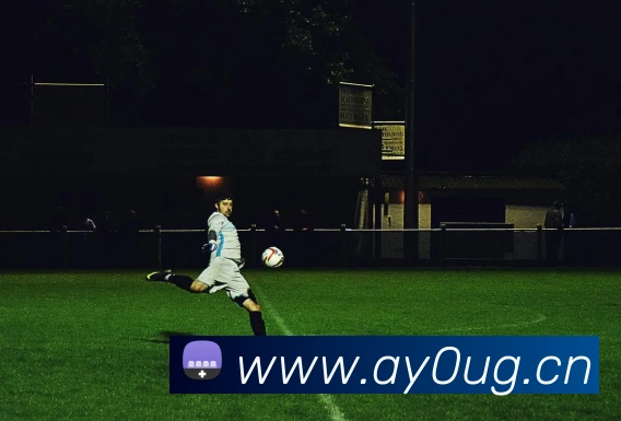 九游体育手机官网入口发展历程